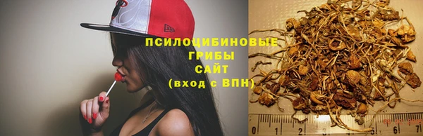 амф Белоозёрский