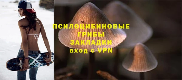 PSILOCYBIN Белокуриха
