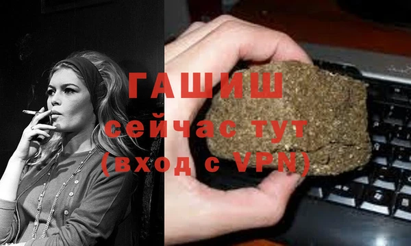 PSILOCYBIN Белокуриха