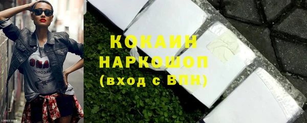 гашик Осташков