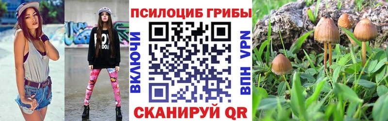 Псилоцибиновые грибы MAGIC MUSHROOMS  Кореновск 