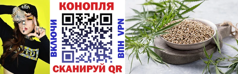 как найти   Кореновск  Бошки Шишки White Widow 